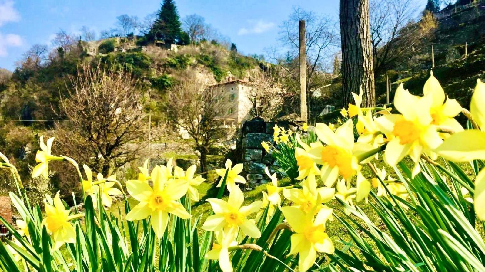 La Casa Sulla Collina Del Castello Villa Breno Kültér fotó