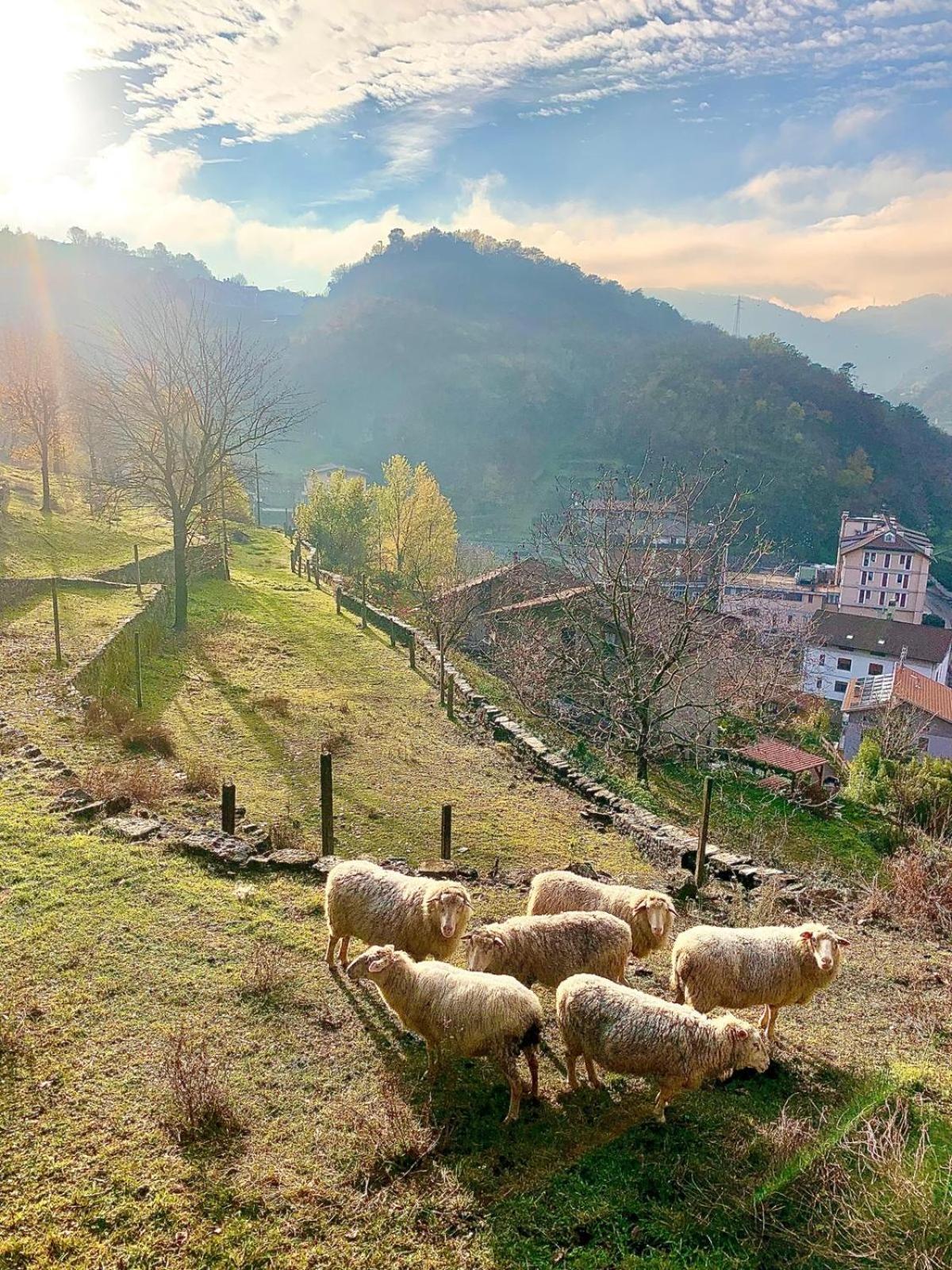 La Casa Sulla Collina Del Castello Villa Breno Kültér fotó